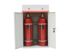 40L双柜式七氟丙烷气体灭火装置